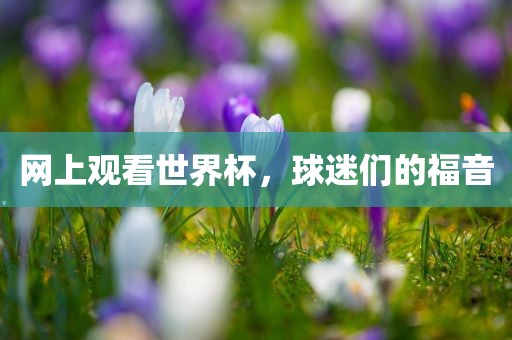 网上观看世界杯，球迷们的福音洪湖市顺升工程机械租赁有限公司