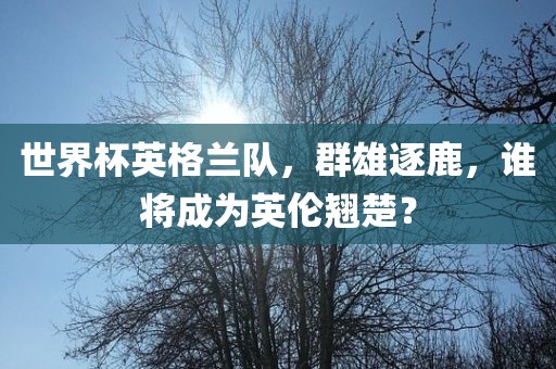 世界杯英格兰队，群雄逐鹿，谁将成为英伦翘楚？