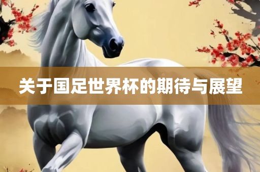 关于国足世界杯的期待与展望