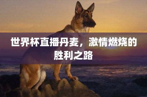 世界杯直播丹麦，激情燃烧的胜利之路