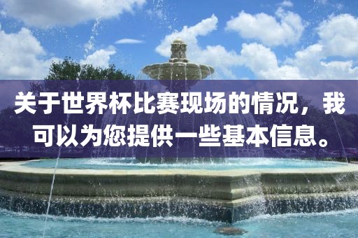 关于世界杯比赛现场的情况，我可以为您提供一些基本信息。