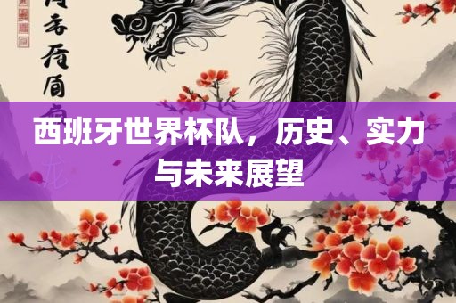 西班洪湖市顺升工程机械租赁有限公司牙世界杯队，历史、实力与未来展望