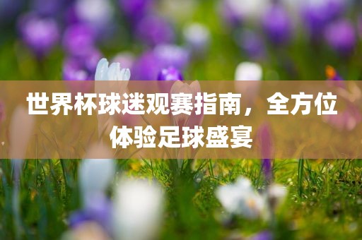 世界杯球迷观赛指南，全方位体验足球盛宴