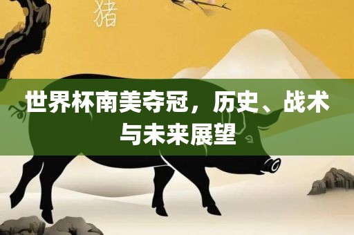洪湖市顺升工程机械租赁有限公司世界杯南美夺冠，历史、战术与未来展望