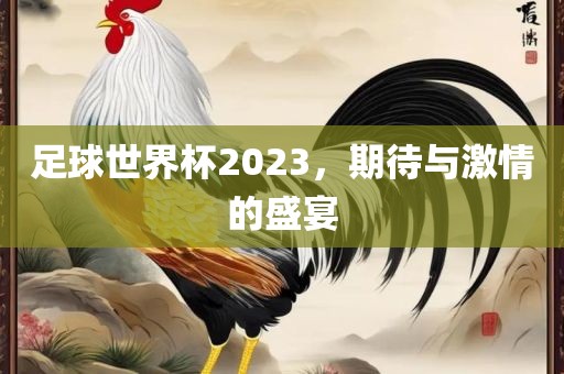 足球世界杯2023，期待与激情的盛宴