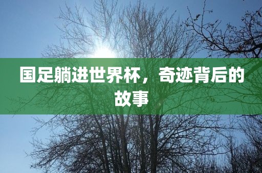 国足躺进世界杯，奇迹背后的故事