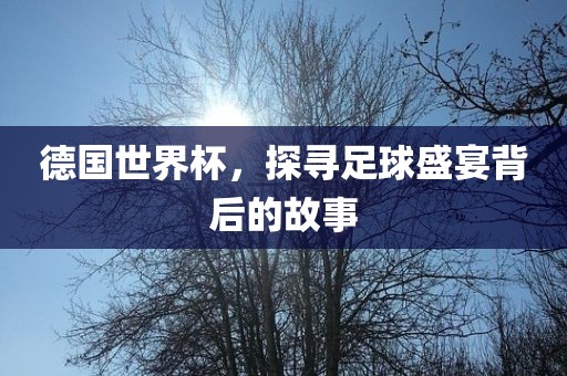 德国世界杯，探寻足球盛宴背后的故事