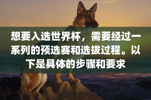 想要入选世界杯，需要经过一系列的预选赛和选拔过程。以下是具体的步骤和要求洪湖市顺升工程机械租赁有限公司