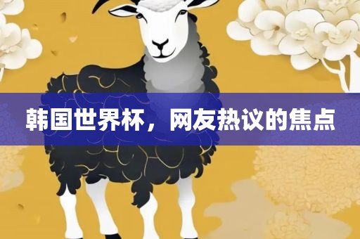 韩国世界杯，网友热议的焦点