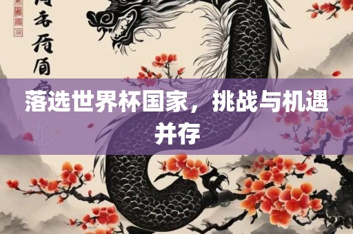 落选世界杯国家，挑战与机遇并存