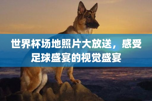 世界杯场地照片大放送，感受足球盛宴的视觉盛宴