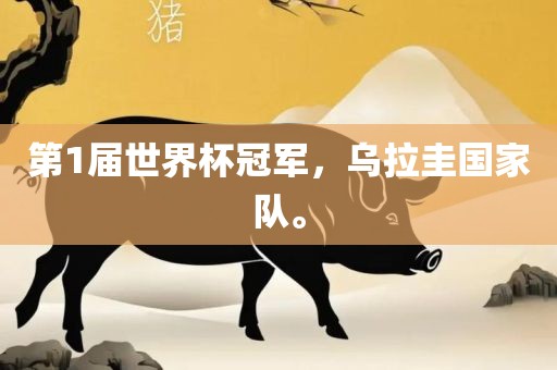 第1届世界杯冠军，乌拉圭国家队。