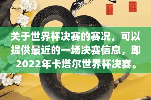 关于世界杯决赛的赛况，可以提供最近的一场决赛信息，即2022年卡塔尔世界杯决赛。洪湖市顺升工程机械租赁有限公司