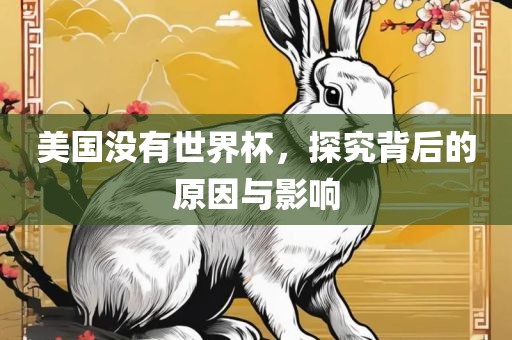 美国没有世界杯，探究背后的原因与影响