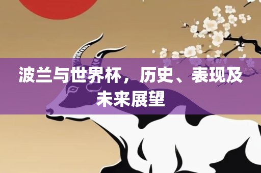波兰与世界杯，历史、表现及未来展望