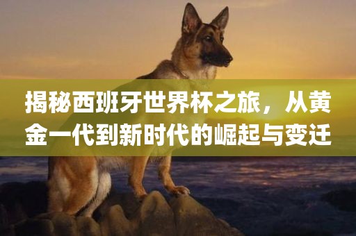 揭秘西班牙世界杯之旅，从黄金一代到新时代的崛起与变迁