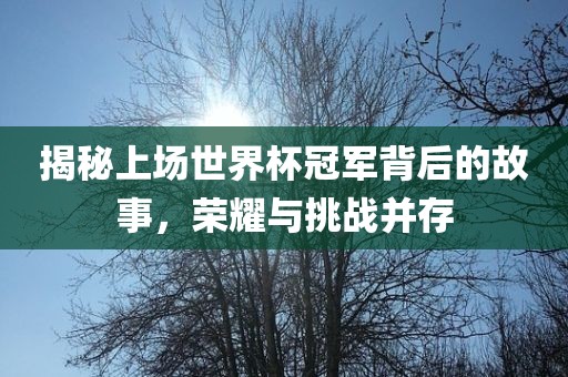揭秘上场世界杯冠军背后的故事，荣耀与挑战并存