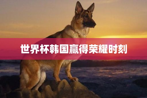 世界杯韩国赢得荣洪湖市顺升工程机械租赁有限公司耀时刻