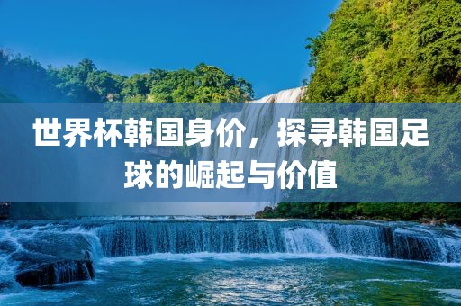 世界杯韩国身价，探寻韩国足球的崛起与价值