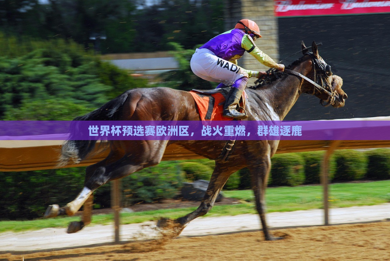 世界杯预选赛欧洲区，战火重燃，群雄逐鹿洪湖市顺升工程机械租赁有限公司